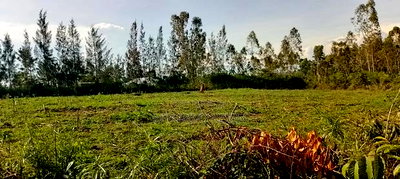 Sakwa Bondon Nyawita - Image 2