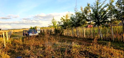 Full 1/4 Plot For Sale In Chepkanga Eldoret - Image 5