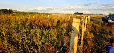 Full 1/4 Plot For Sale In Chepkanga Eldoret - Image 3