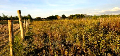 Full 1/4 Plot For Sale In Chepkanga Eldoret - Image 2
