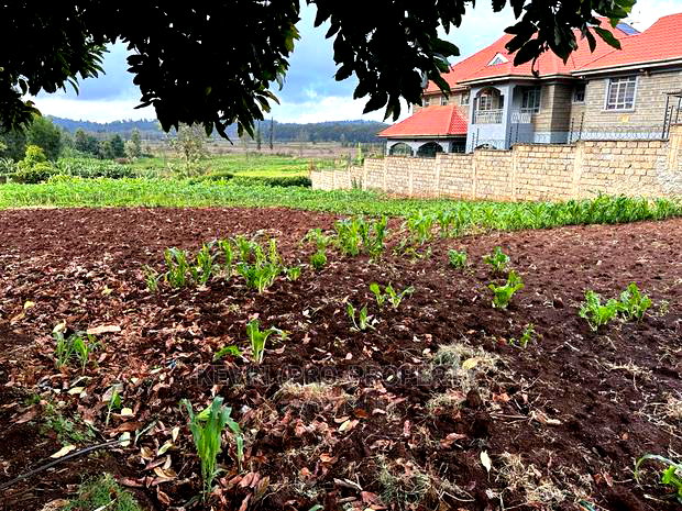 Residential Plot for Sale in Kikuyu, Ondiri.(1/4 Acre)