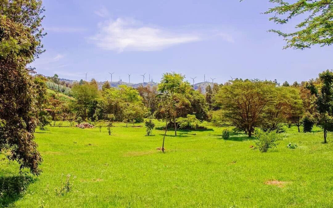 Quarter Acre Plot in Ngong for KSh 9M