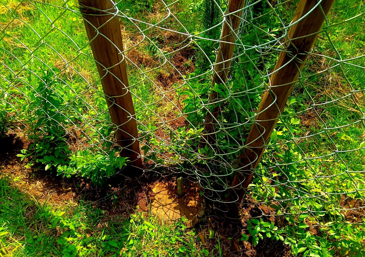 Quarter Acre Plot in Ngong for KSh 9M