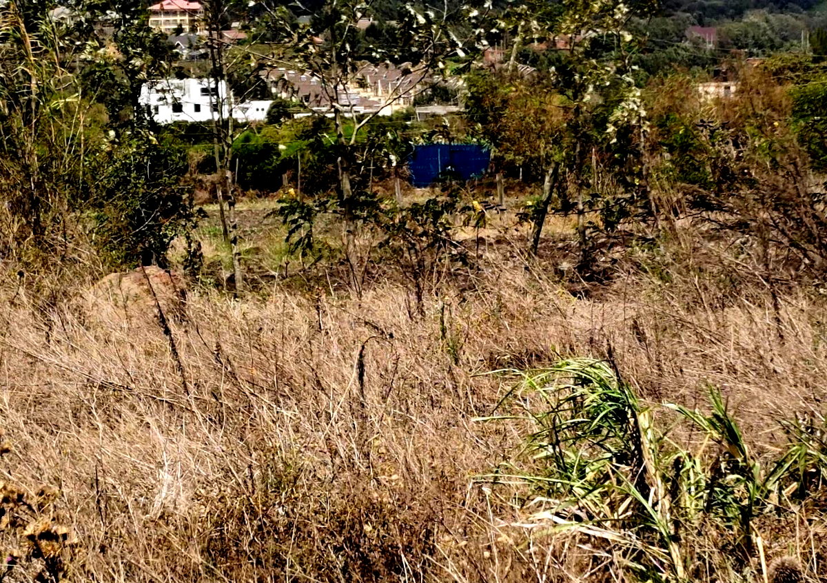 Garden Plot with Parking at KSh 3M