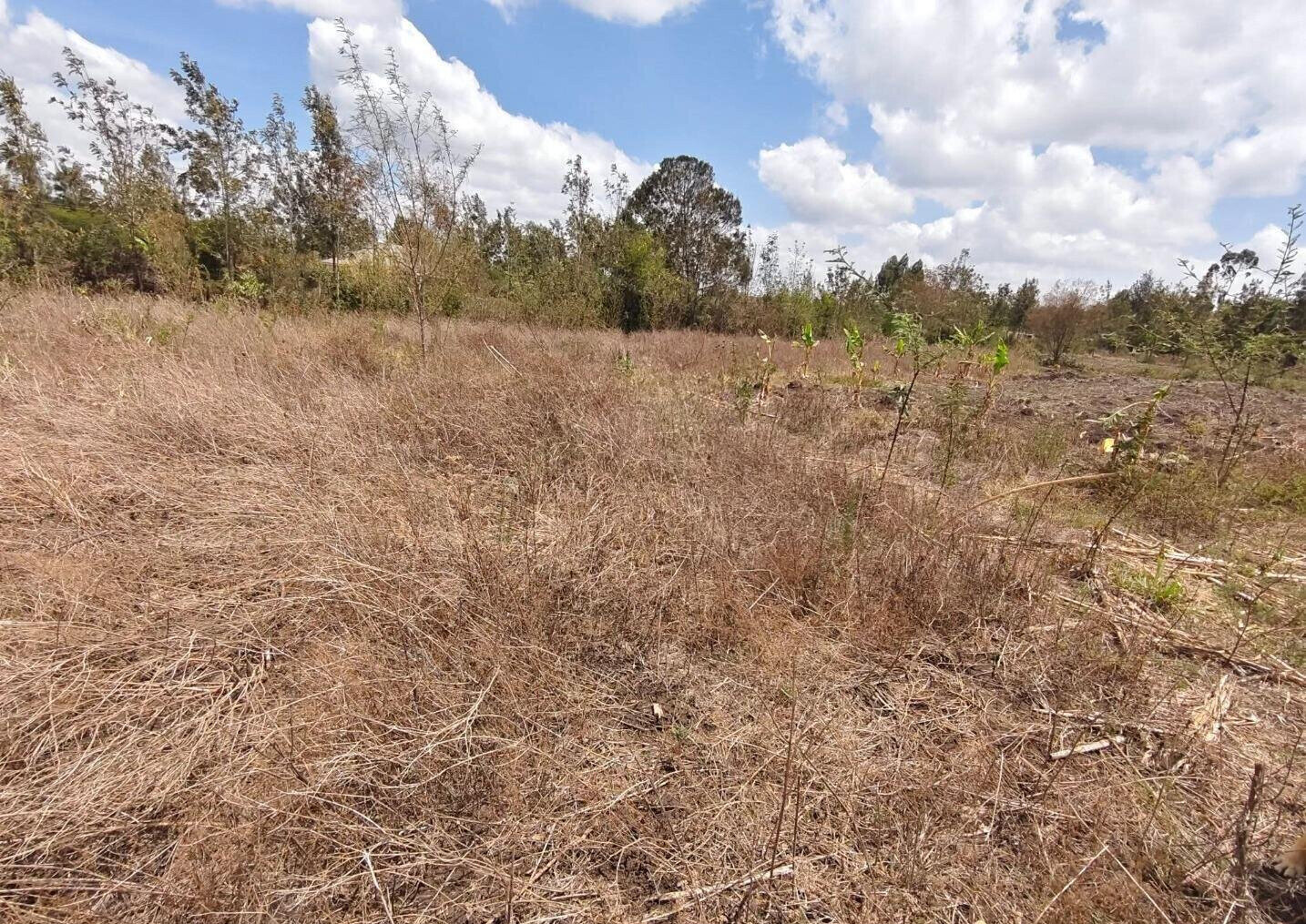Garden Plot with Parking at KSh 3M