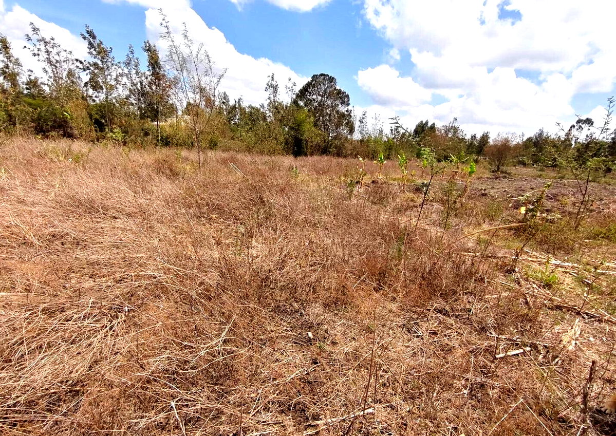 Garden Plot with Parking at KSh 3M