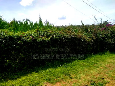 Quarter Acre Red Soil Plot in Ngong, Bondeni. Ready to Build - Image 4