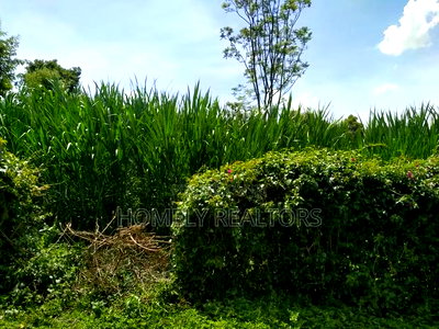 Quarter Acre Red Soil Plot in Ngong, Bondeni. Ready to Build - Image 3