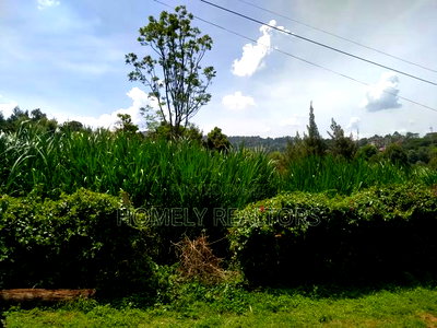 Quarter Acre Red Soil Plot in Ngong, Bondeni. Ready to Build - Image 1
