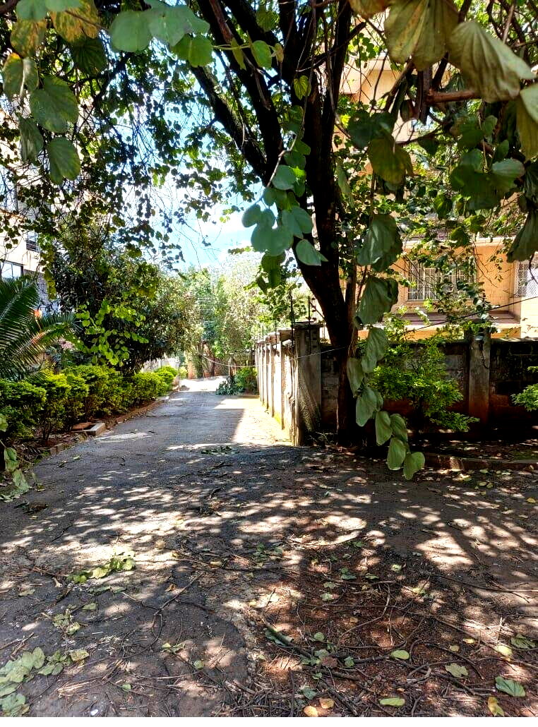KSh 350K Garden Oasis