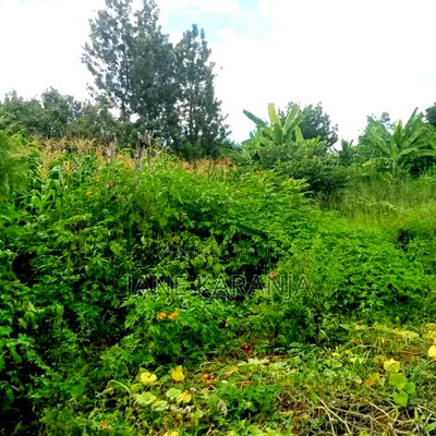 3/8 Acre Quick Sale Ithanga Opp Ithanga Sec School - Image 4