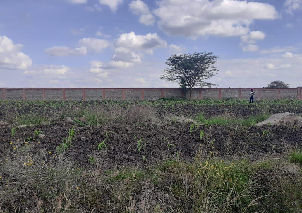 Quarter Acre Garden Plot for KSh 3M