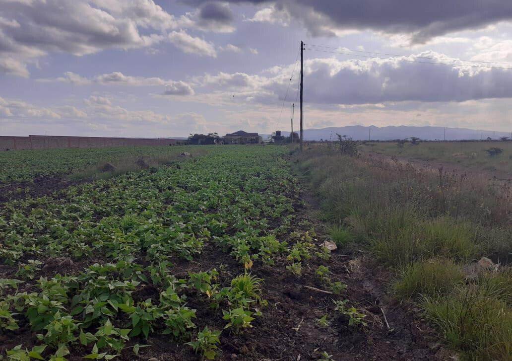 Quarter Acre Garden Plot for KSh 3M