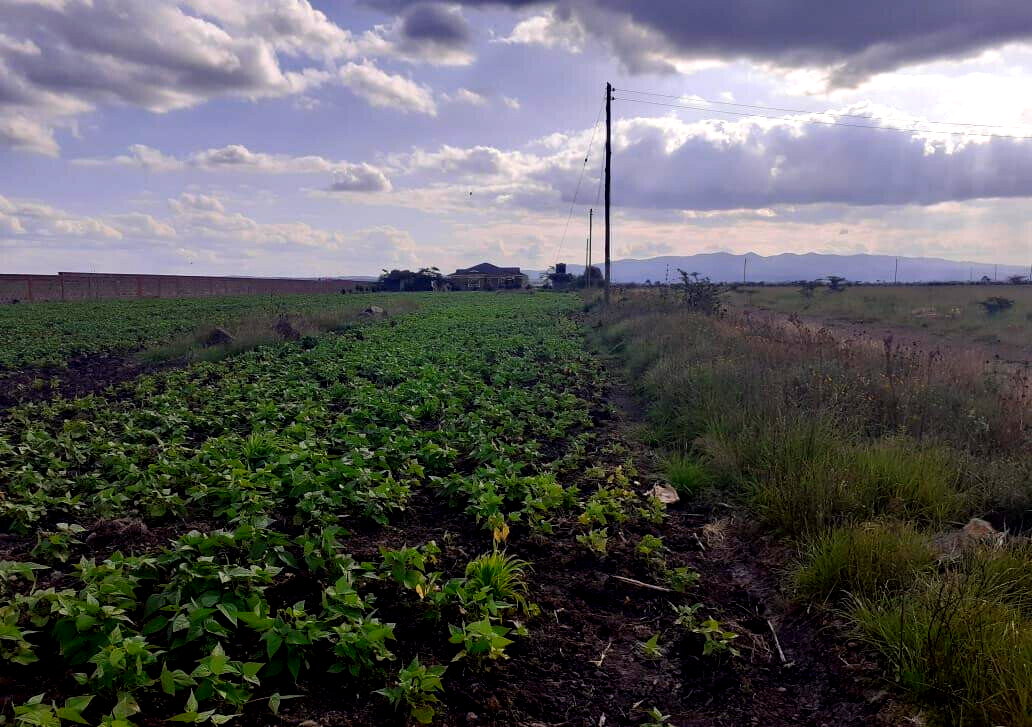Quarter Acre Garden Plot for KSh 3M