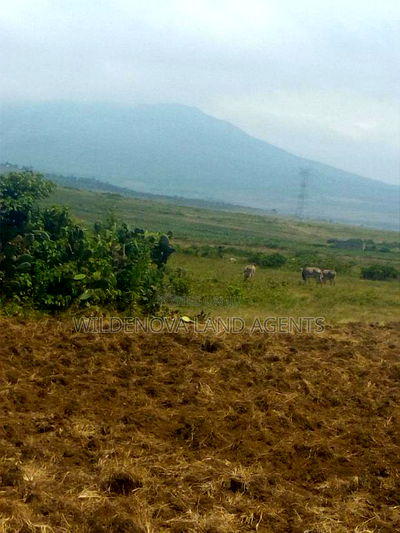 2 Acre on Sale at Munyu Naivasha - Image 2