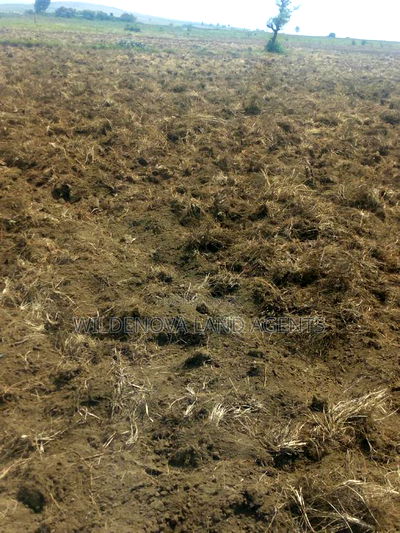 2 Acre on Sale at Munyu Naivasha - Image 1