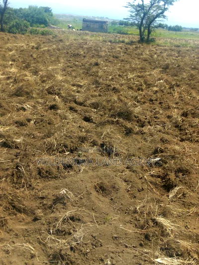 2 Acre on Sale at Munyu Naivasha - Image 4