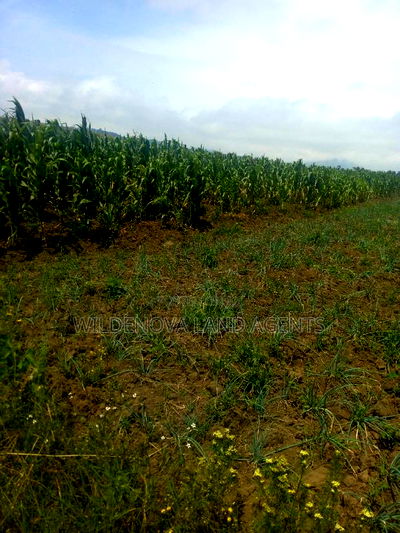 2 Acre on Sale at Munyu Naivasha - Image 5