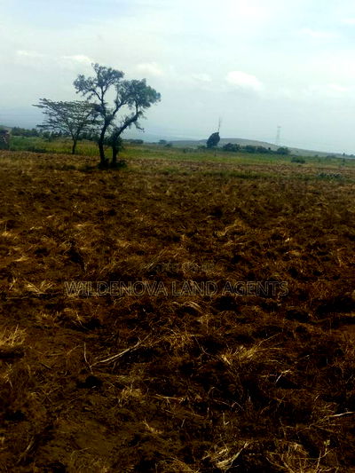 2 Acre on Sale at Munyu Naivasha - Image 3
