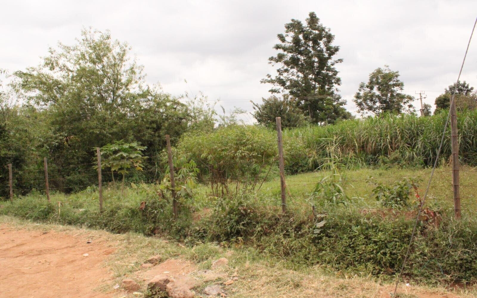 50x100 Commercial Plot for KSh 2.7M