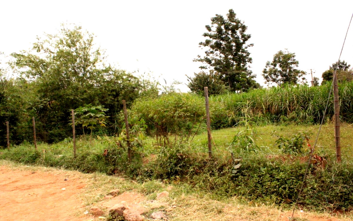 50x100 Commercial Plot for KSh 2.7M
