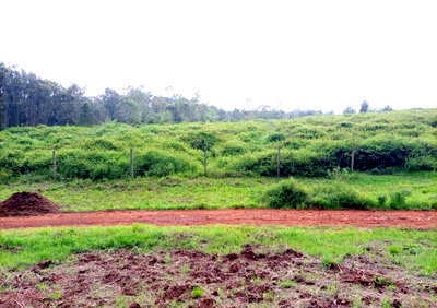 551 Acres in Ruiru with Garden