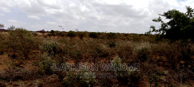 Ngong Kimuka Half Acre for Sale