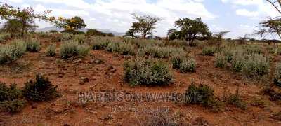 Ngong Kimuka Half Acre for Sale - Image 4
