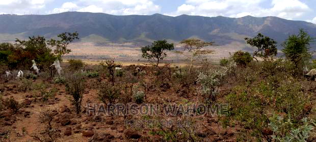 Ngong Kimuka Half Acre for Sale