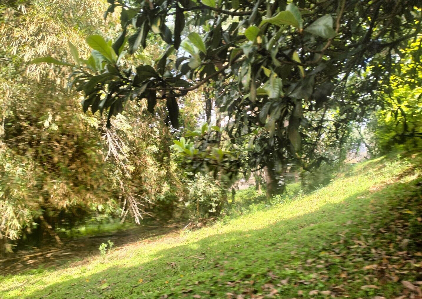1 Acre Plot at KSh 120M