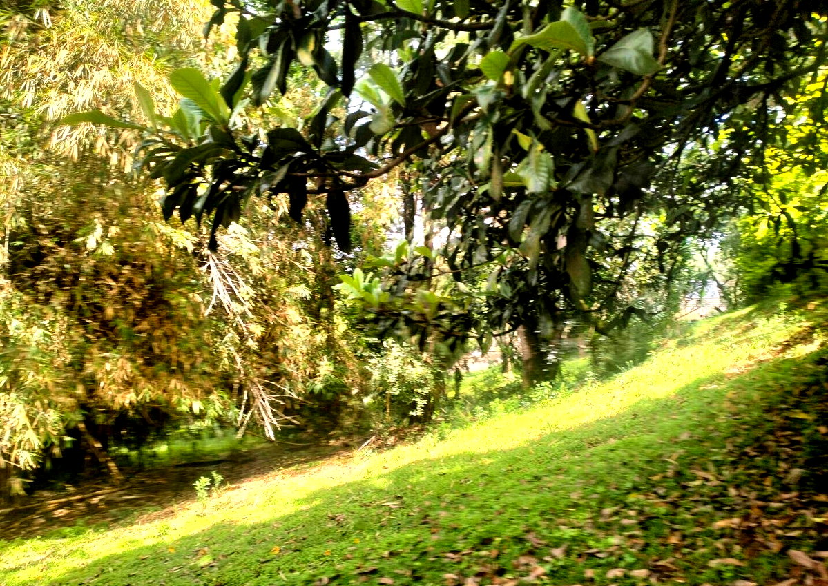 1 Acre Plot at KSh 120M