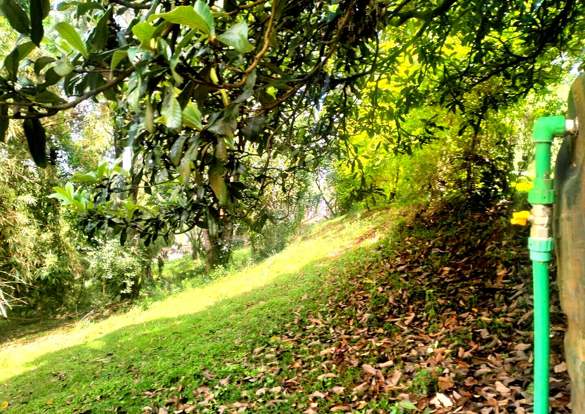 1 Acre Plot at KSh 120M