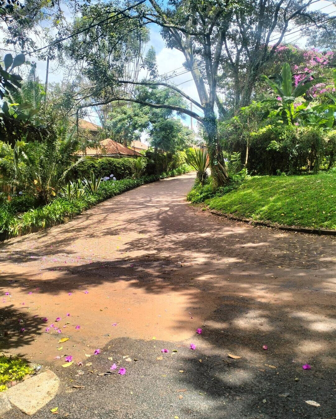 1 Acre Plot at KSh 120M