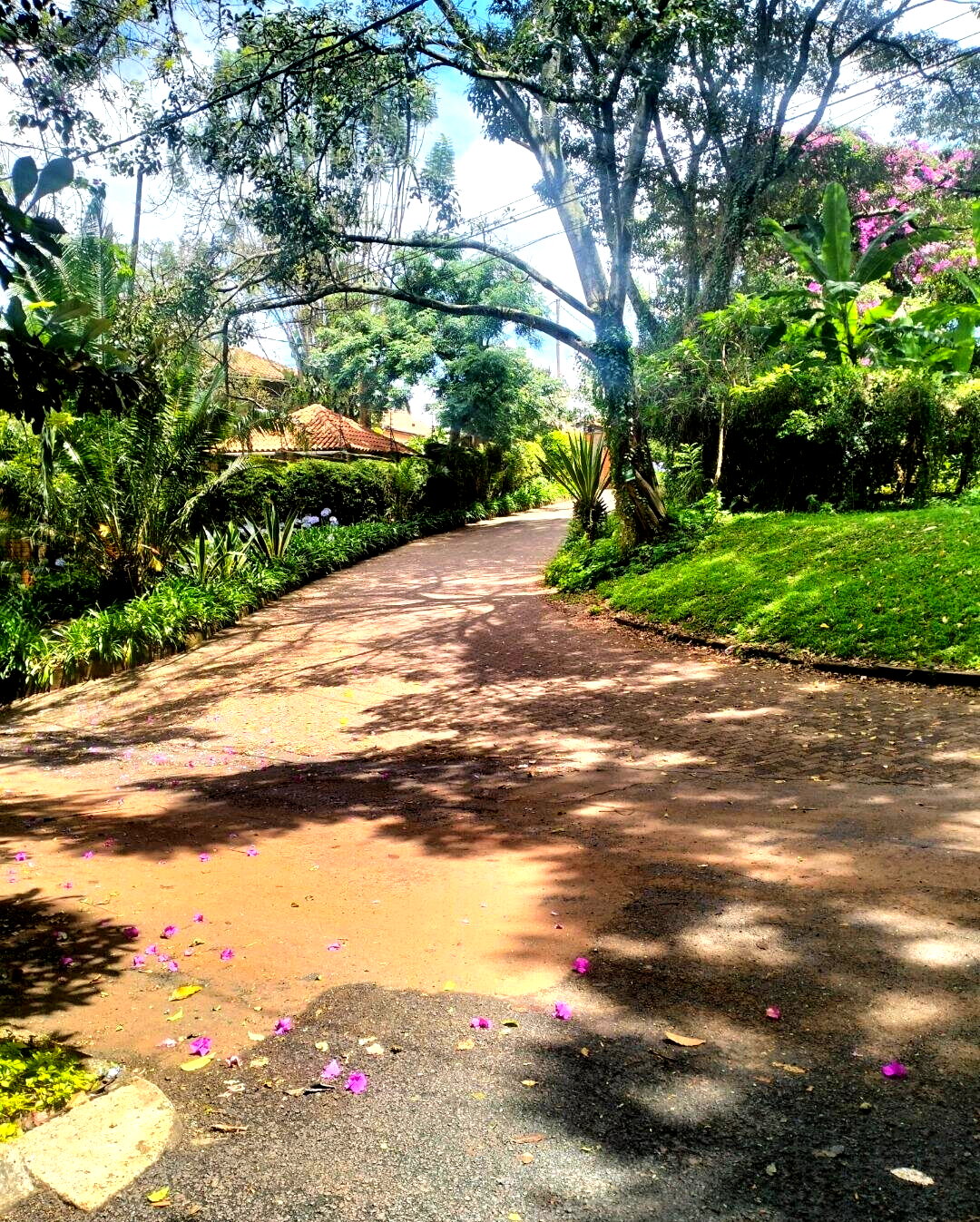 1 Acre Plot at KSh 120M