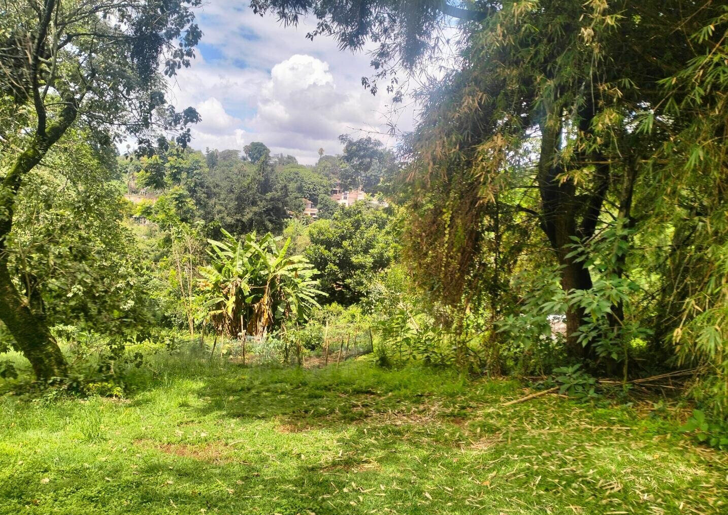 1 Acre Plot at KSh 120M