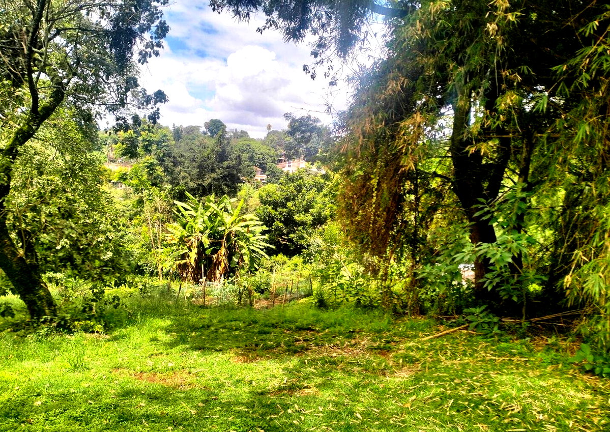 1 Acre Plot at KSh 120M