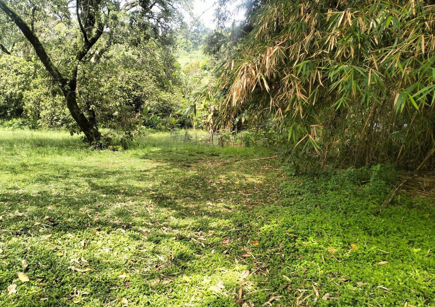 1 Acre Plot at KSh 120M