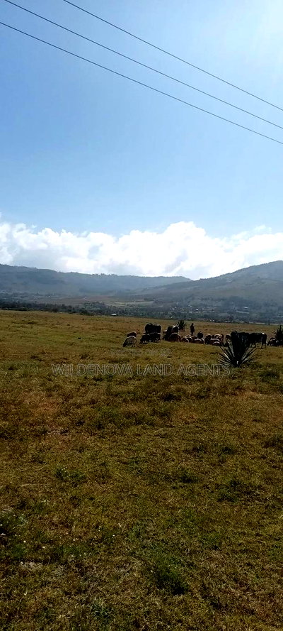 Land on Sale at Longonot Naivasha - Image 6