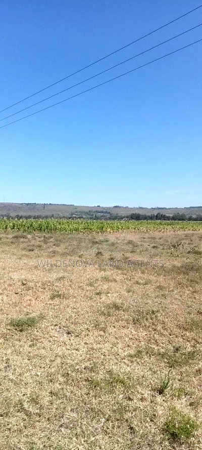 Land on Sale at Longonot Naivasha - Image 8