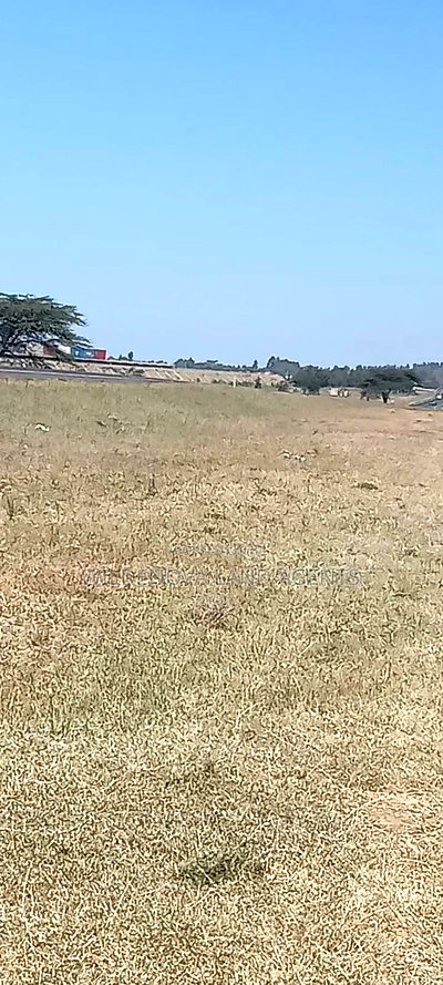 Land on Sale at Longonot Naivasha - Image 11