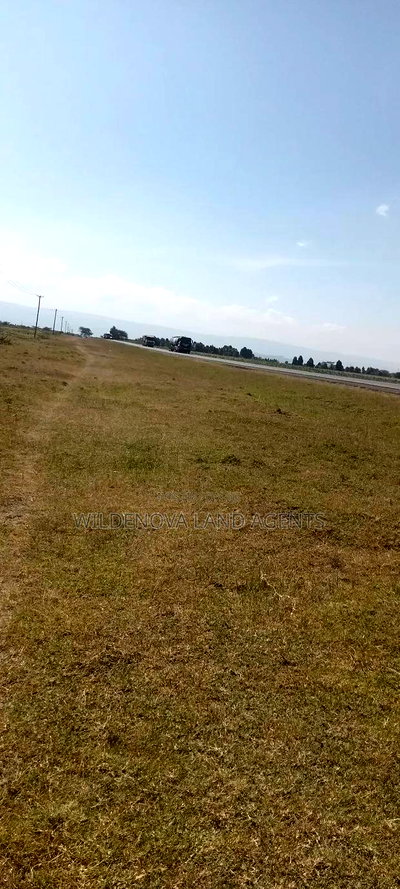 Land on Sale at Longonot Naivasha - Image 3