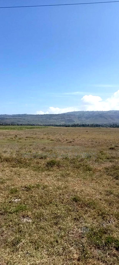 Land on Sale at Longonot Naivasha - Image 7
