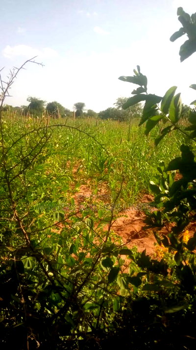 10acres for Sale at Mwingi - Image 1