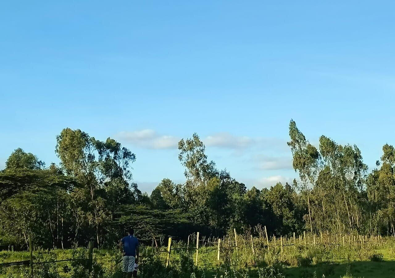Half Acre Plot at KSh 30M