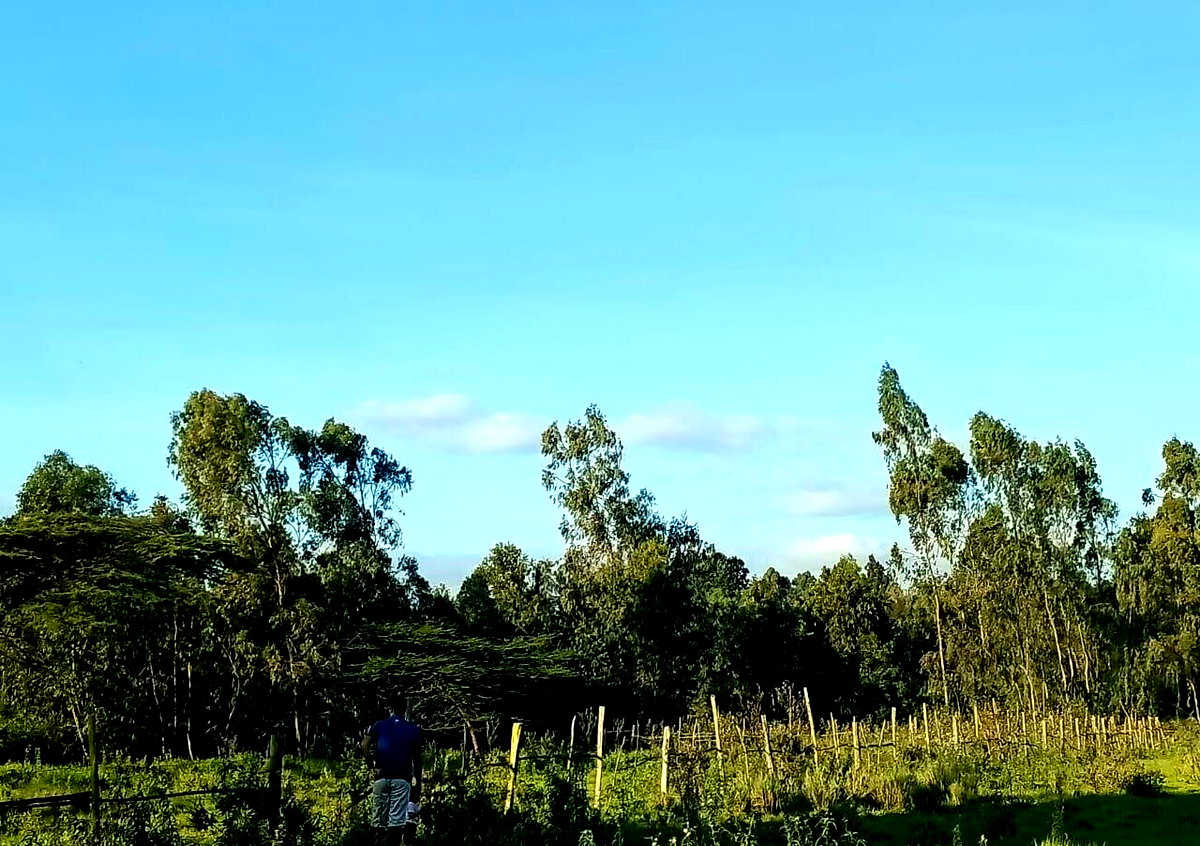 Half Acre Plot at KSh 30M