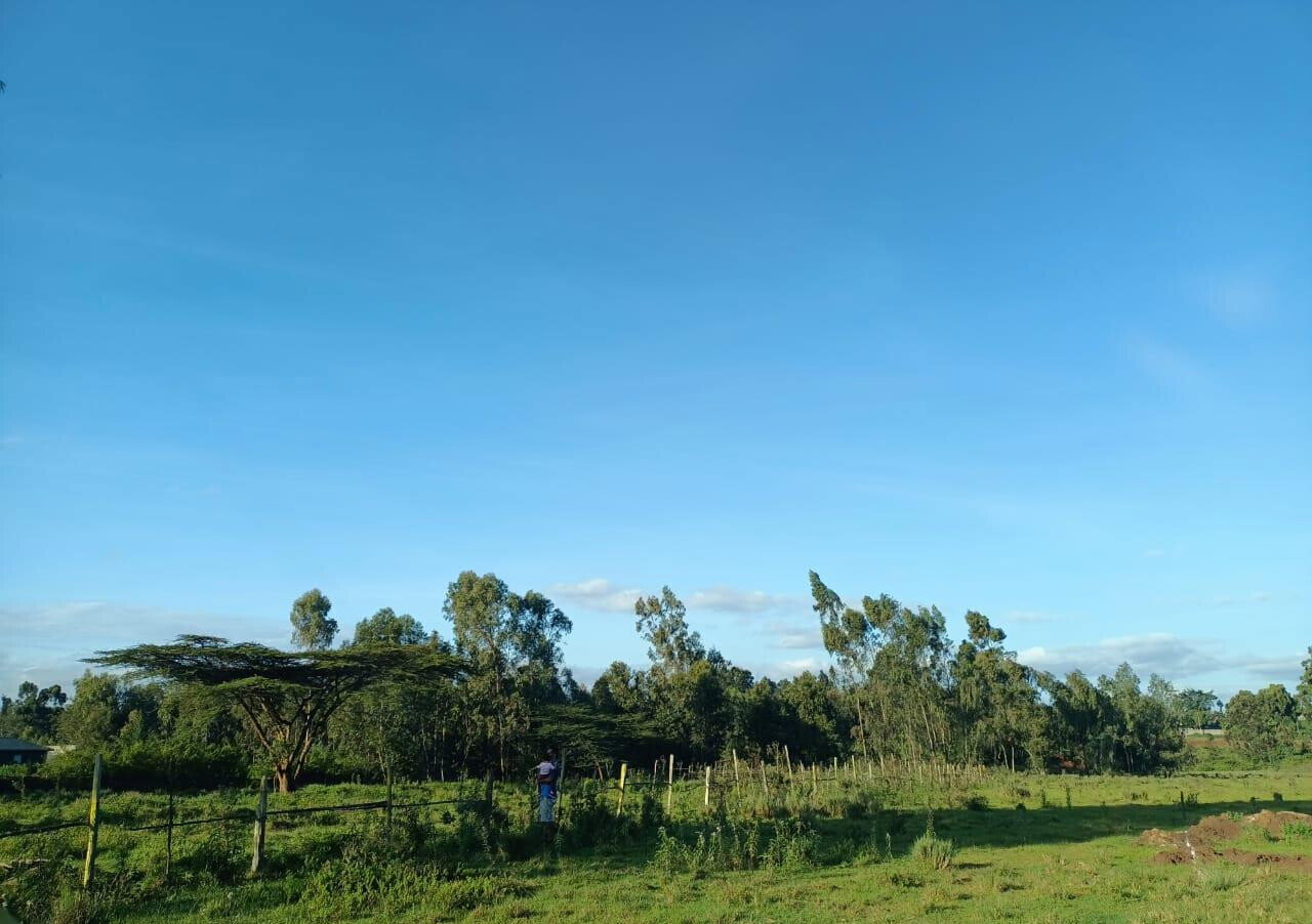 Half Acre Plot at KSh 30M