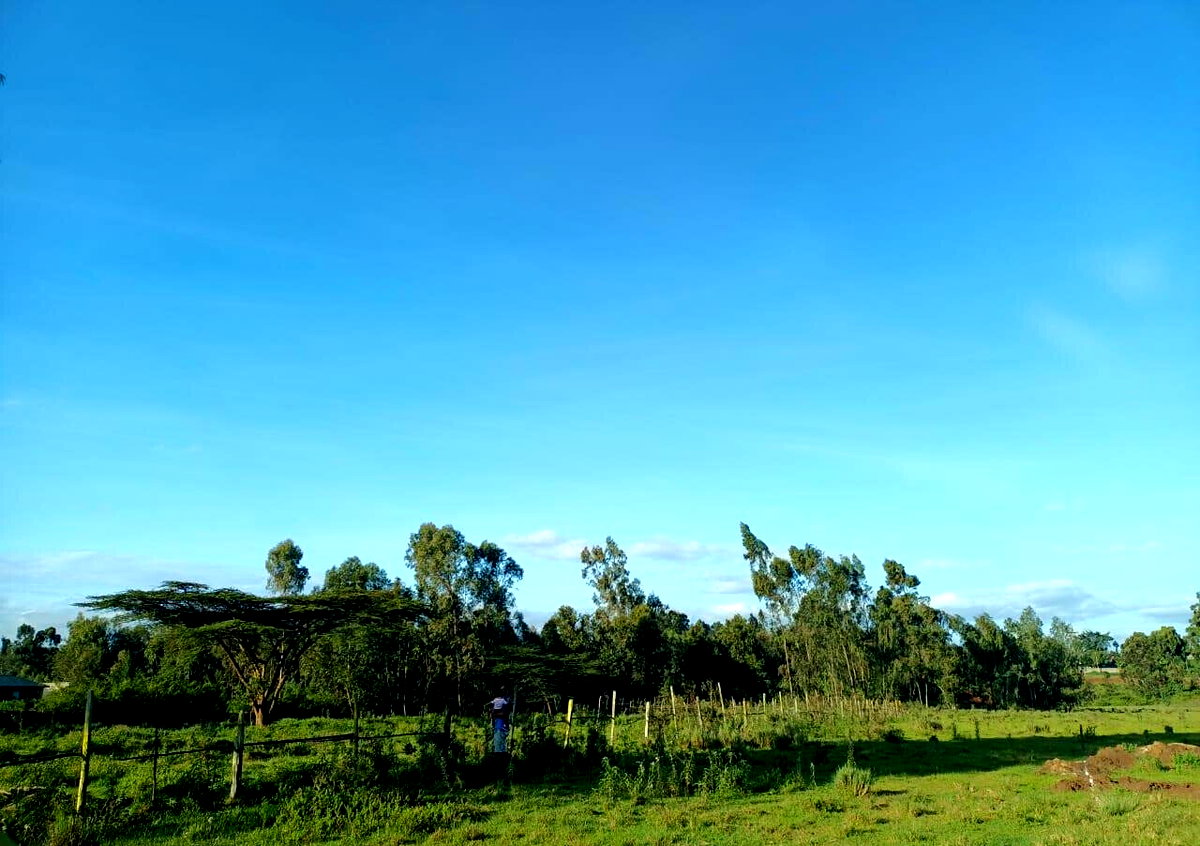 Half Acre Plot at KSh 30M