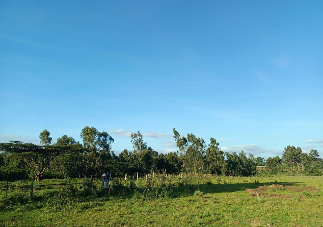 Half Acre Plot at KSh 30M