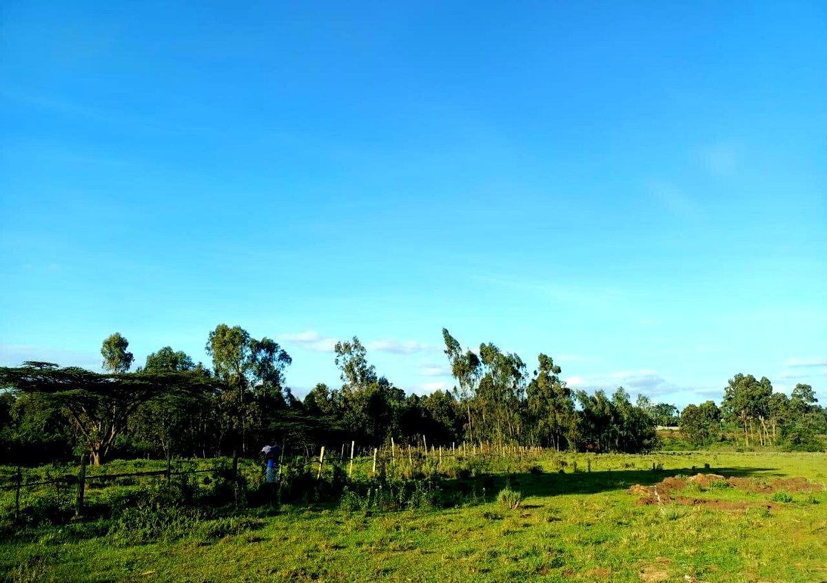 Half Acre Plot at KSh 30M