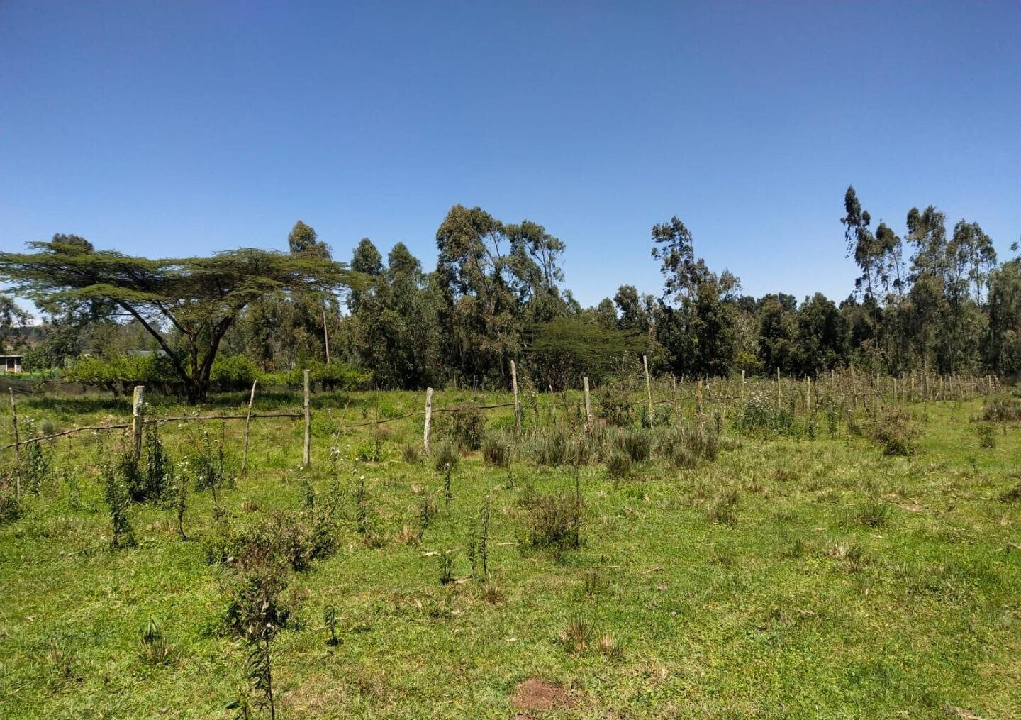 Half Acre Plot at KSh 30M